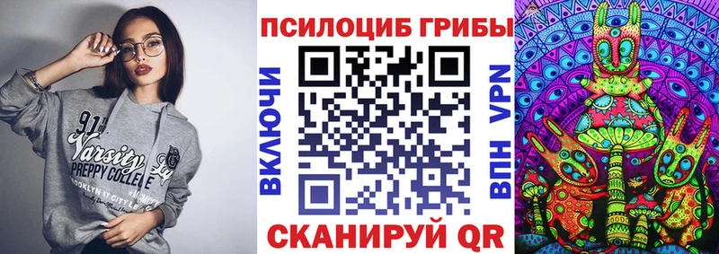 Псилоцибиновые грибы Psilocybine cubensis  Енисейск 